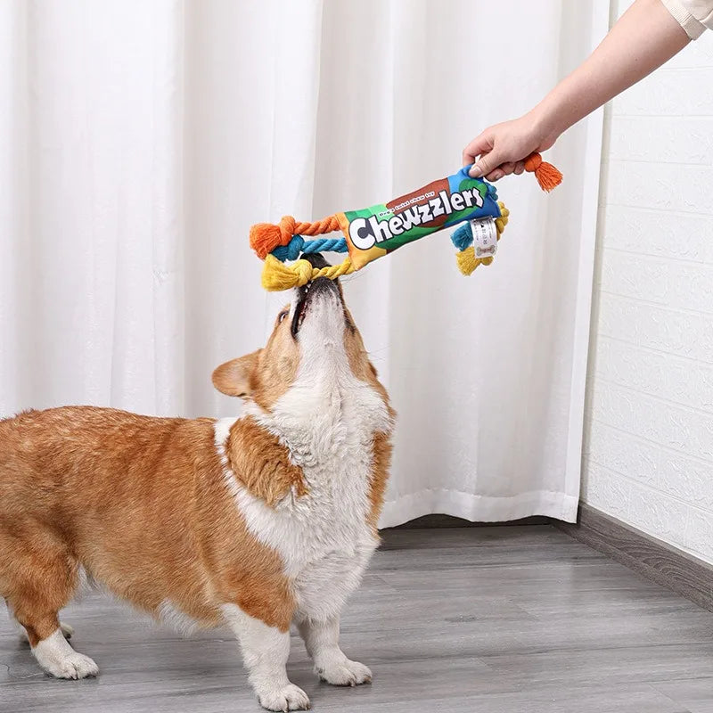 Squeaky Pet Dog Chew Toy β Ideal for Molar Training - Happy Tail Center