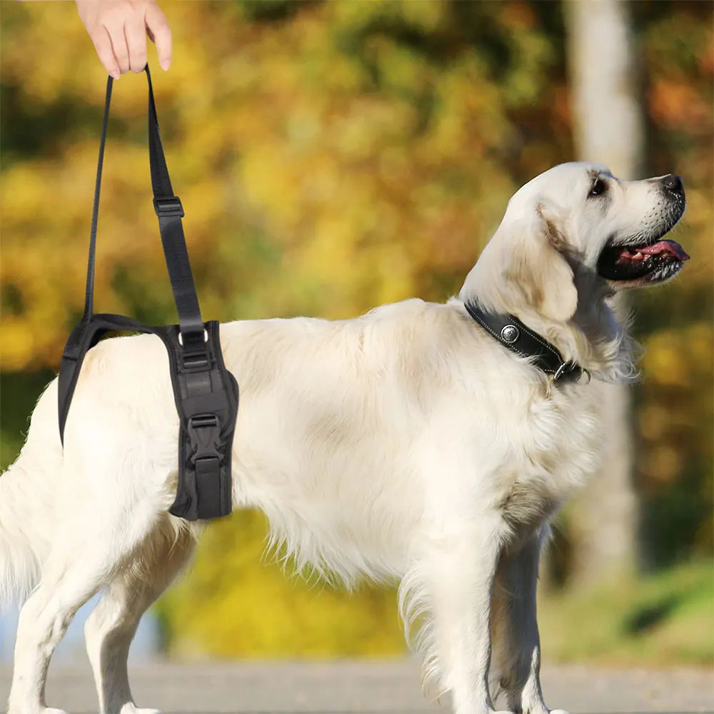 Dog Split Lift Harness with Lead – Back Legs and Hip Support for Small, Medium, and Large Dogs - Happy Tail Center