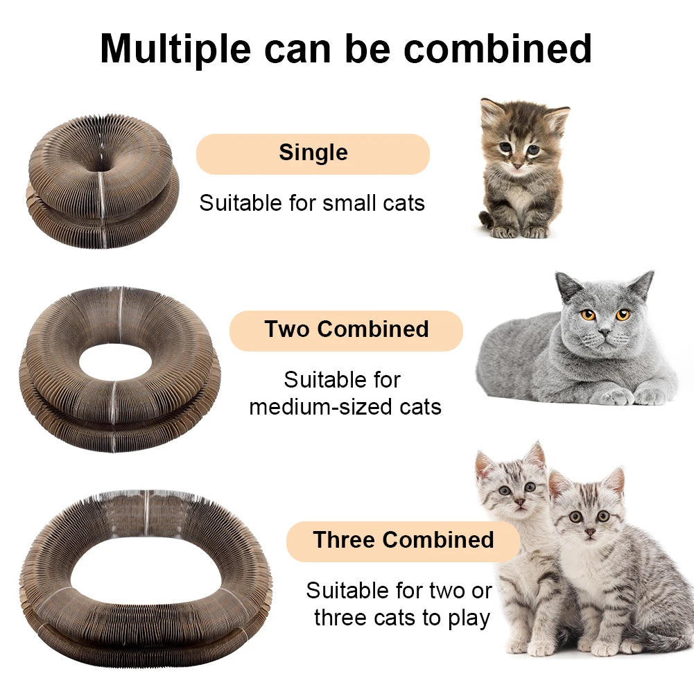 Magic Organ Cat Scratch Board with Bell – Multifunctional Claw Grinding & Climbing Toy - Happy Tail Center