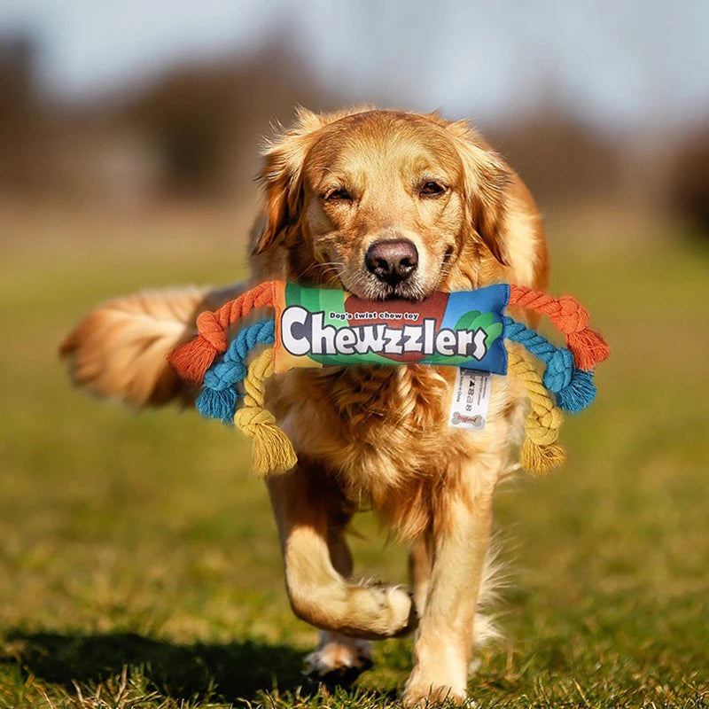 Squeaky Pet Dog Chew Toy β Ideal for Molar Training - Happy Tail Center