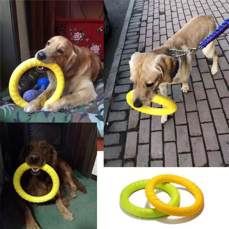 Durable Dog Training Ring | Anti-Bite & Floating Flying Disk for Aggressive Chewers