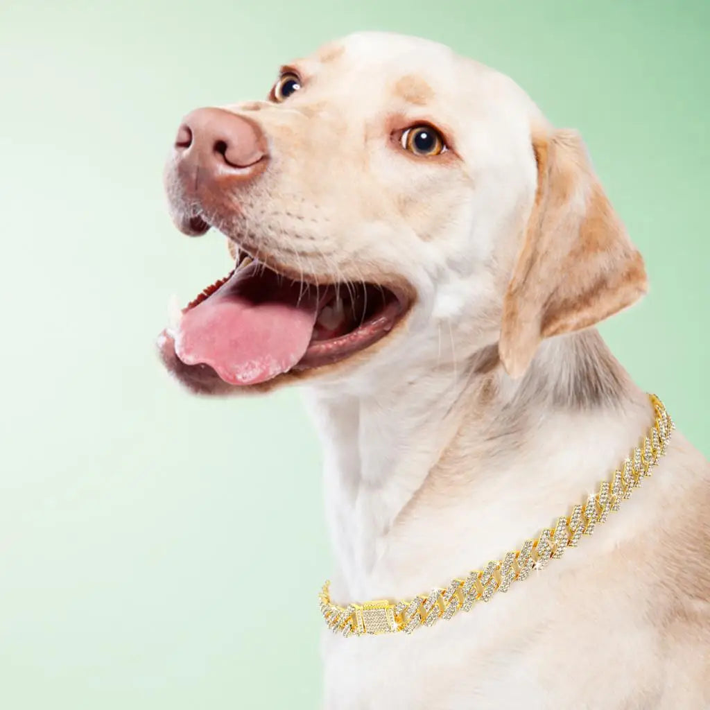 GlamourPaws Bling Diamond Dog Chain | Luxury Collar for Large Dogs - Happy Tail Center