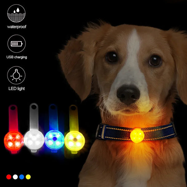 LED Glow USB Rechargeable Night Safety Collar for low-light evening visibility