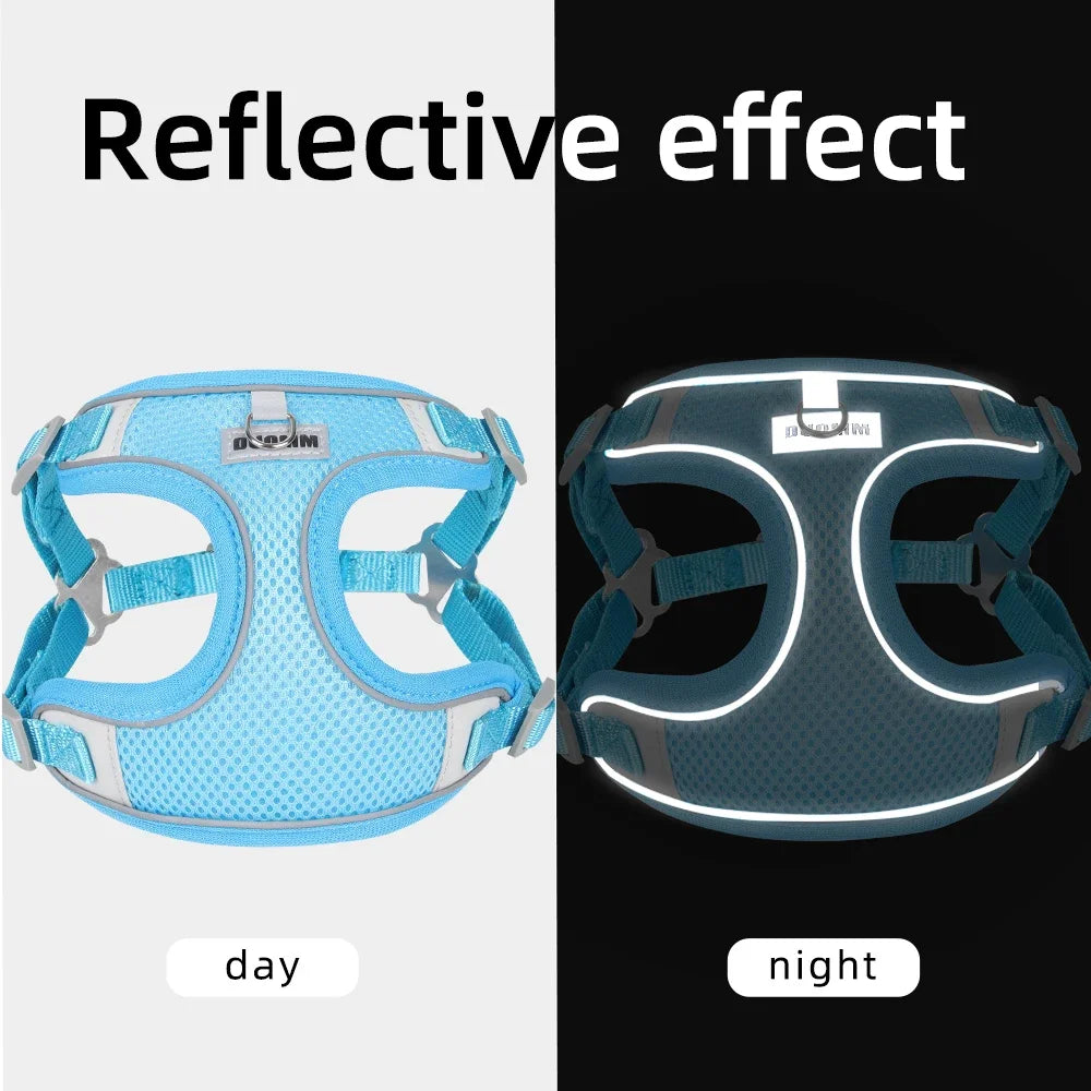 Reflective Dog Harness Leash Set | Chest Strap Vest for Small & Medium Dogs and Cats