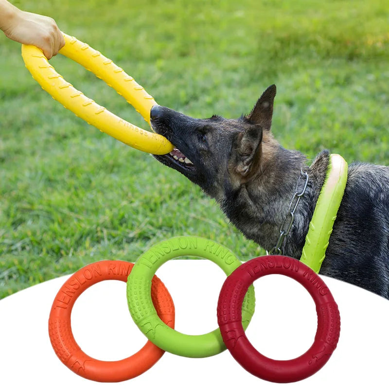 Durable Dog Training Ring | Anti-Bite & Floating Flying Disk for Aggressive Chewers