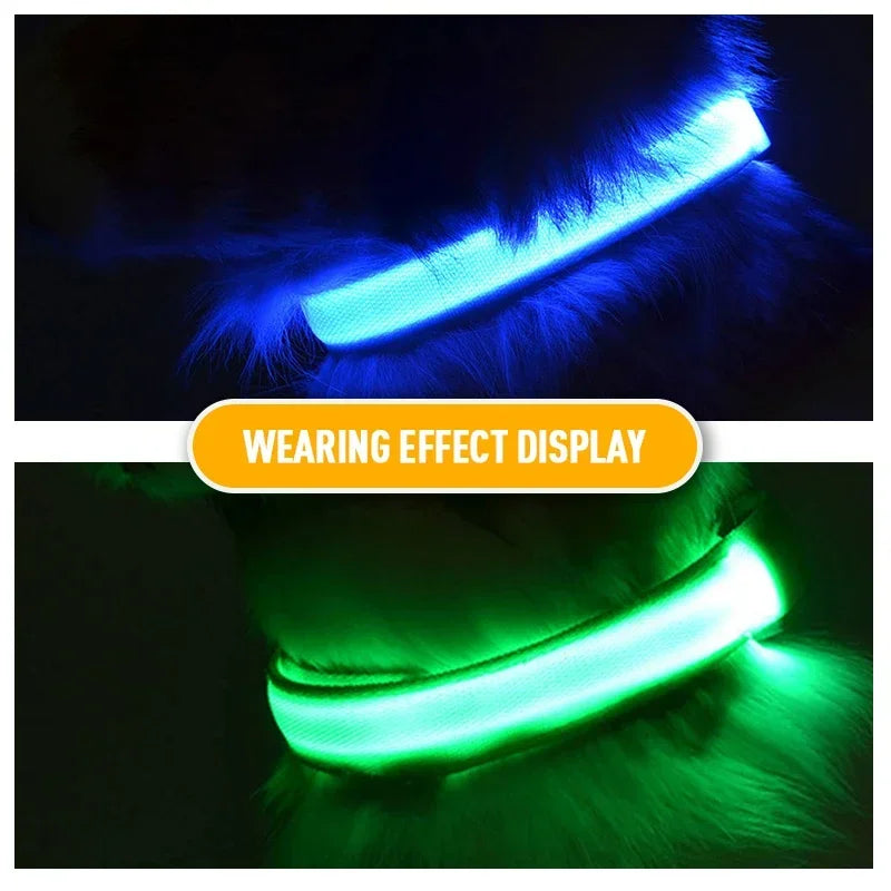 USB Charging LED Dog Collar | Safety Night Light Flashing Necklace for Dogs