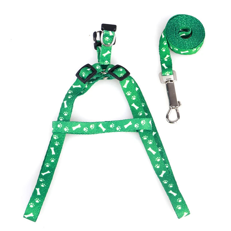Cute Small Dog Leash and Harness Set β Puppy Lead Rope for Cats and Kittens - Happy Tail Center