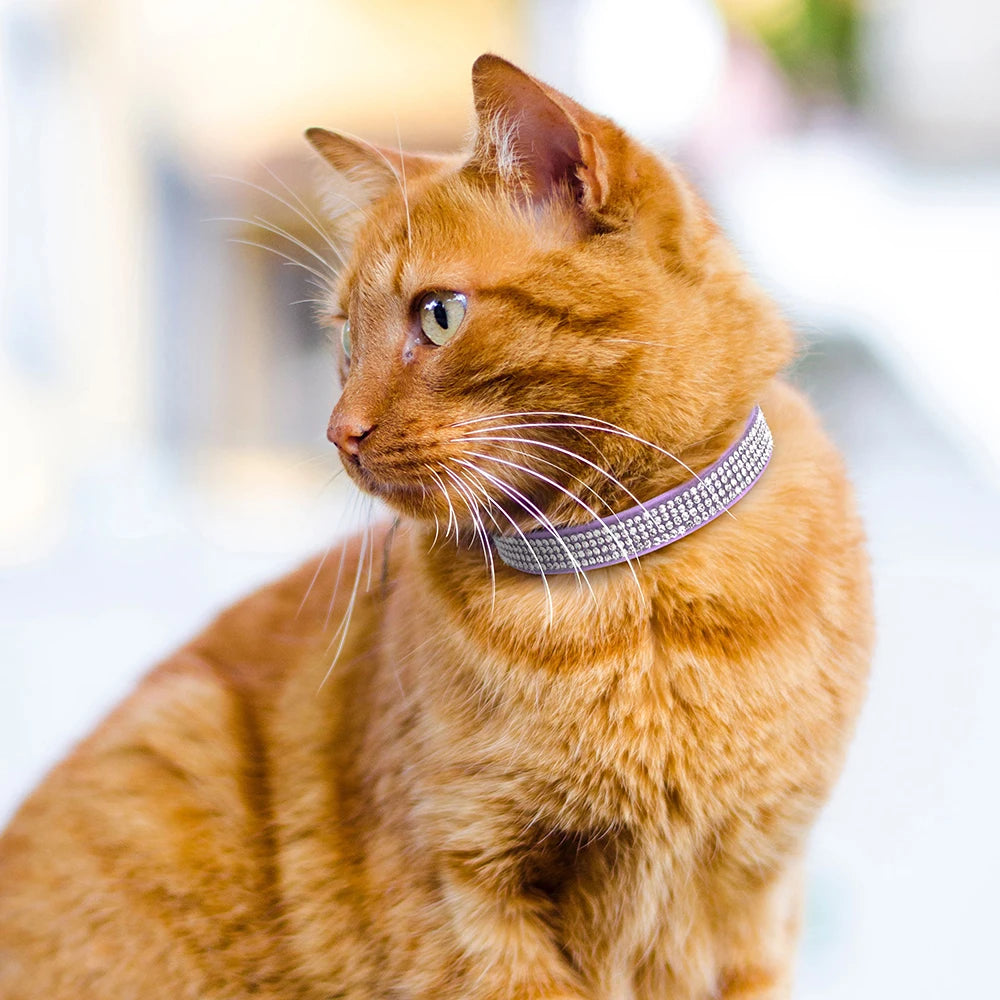 Soft Suede Leather Cat Collar - Bling Rhinestone with Bell, Breakaway