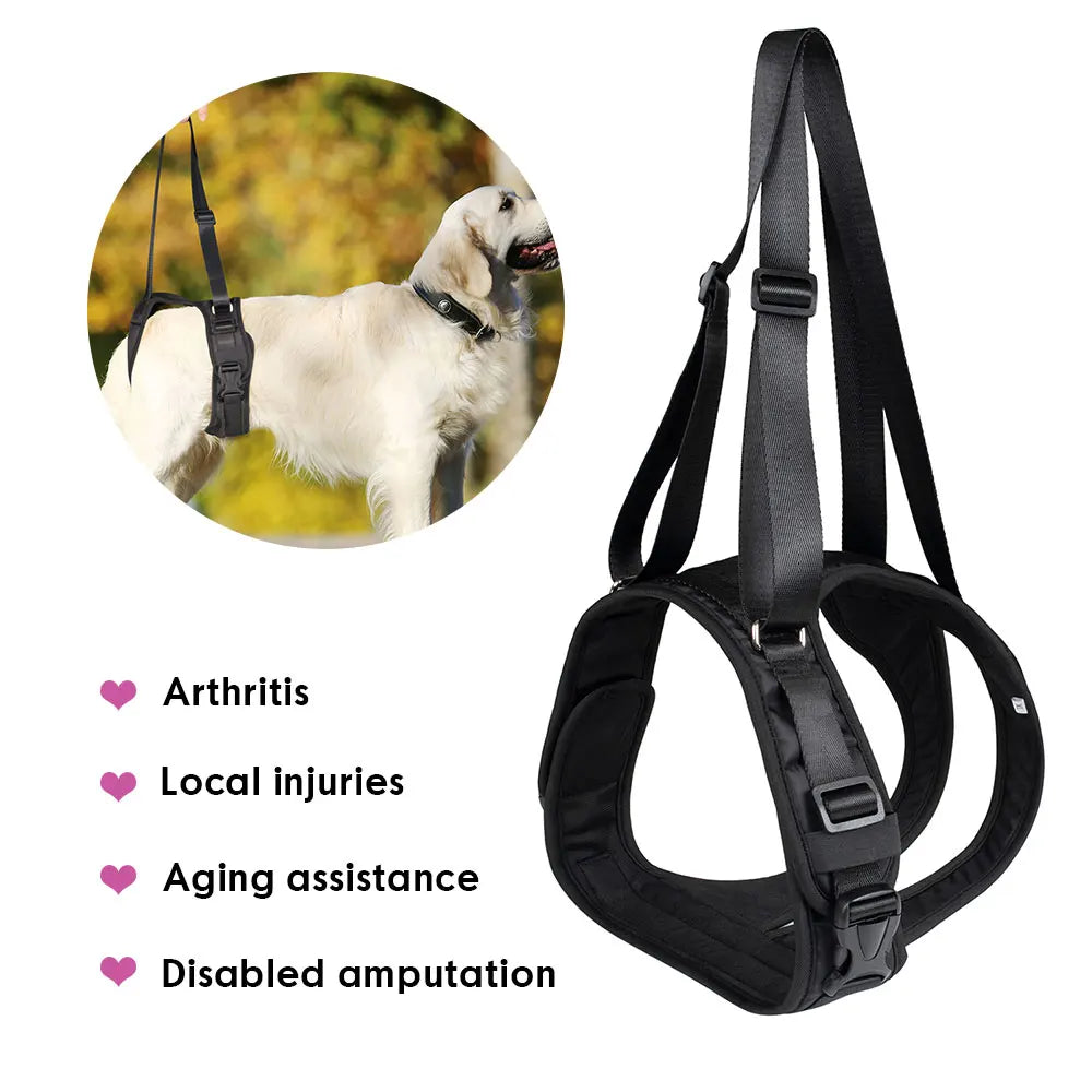 Dog Split Lift Harness with Lead – Back Legs and Hip Support for Small, Medium, and Large Dogs - Happy Tail Center