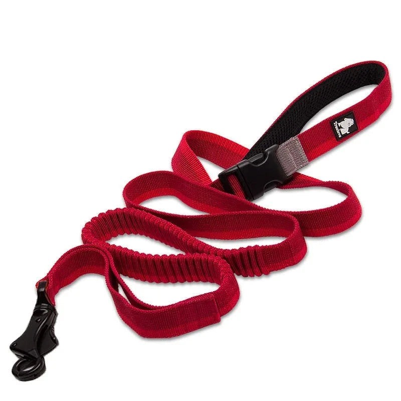 Adjustable Nylon Bungee Dog Leash | Hand-Held or Waist-Worn Retractable Lead for Running, Jogging, and Walking - Happy Tail Center