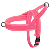 Adjustable Soft No-Pull Dog Harness: Padded Nylon Vest for Small to Medium Breeds