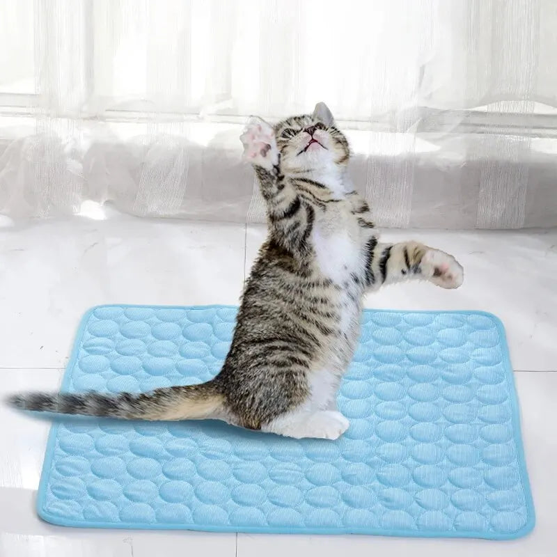 Pet Ice Cooling Mat - Summer Sofa Bed Pad for Cats and Small Dogs