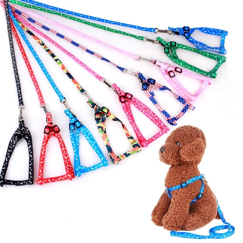 Cute Small Dog Leash and Harness Set β Puppy Lead Rope for Cats and Kittens - Happy Tail Center