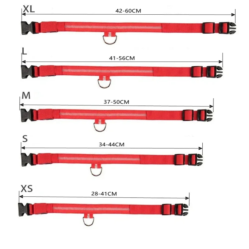 USB Charging LED Dog Collar | Safety Night Light Flashing Necklace for Dogs