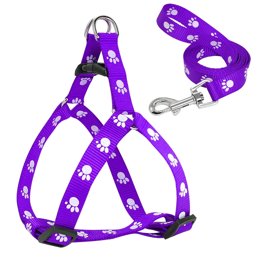 PawPrint Puppy Harness and Leash Set - Safety and Style for Your Little Pup! - Happy Tail Center