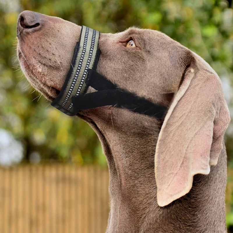 Reflective Adjustable Dog Muzzle - Anti-Biting and Barking Solution