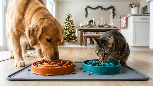 Pet safety guide on toxic holiday foods and slow feeding bowls