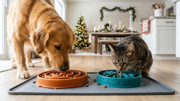 Holiday Pet Hazards: Toxic Festive Foods & Bones