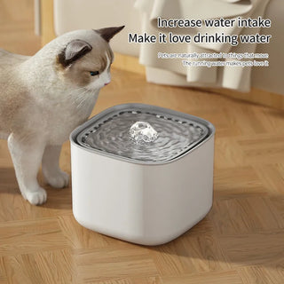 3L Whisper-Quiet Automatic Cat & Dog Water Fountain