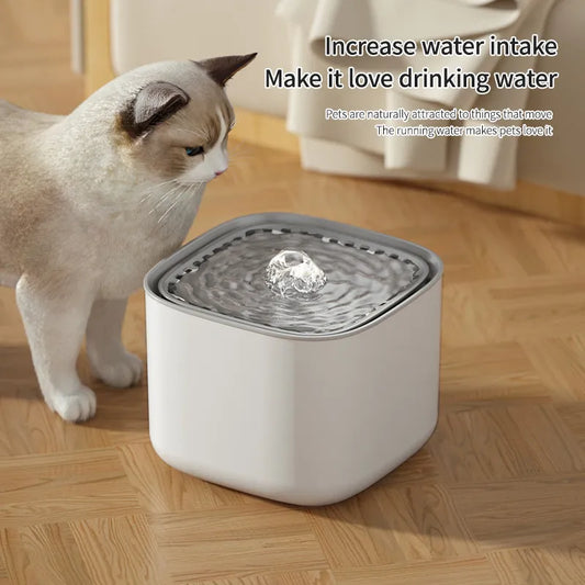 L Automatic Cat Water Fountain on countertop next to a cat