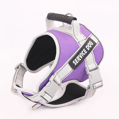 Reflective Letter Graphic Pet Harness for Dogs - Outdoor Safety - View 7 - Happy Tail Center