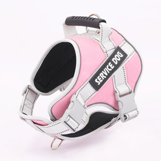Reflective Letter Graphic Pet Harness for Dogs - Outdoor Safety