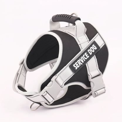 Reflective Letter Graphic Pet Harness for Dogs - Outdoor Safety - View 2 - Happy Tail Center