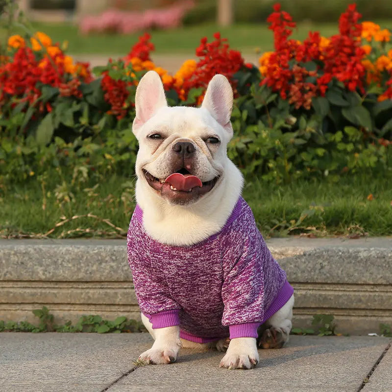 Winter Hoodies & Sweaters for Small to Medium Dogs - Warm Clothing for French Bulldog, Chihuahua, Yorkie - Happy Tail Center