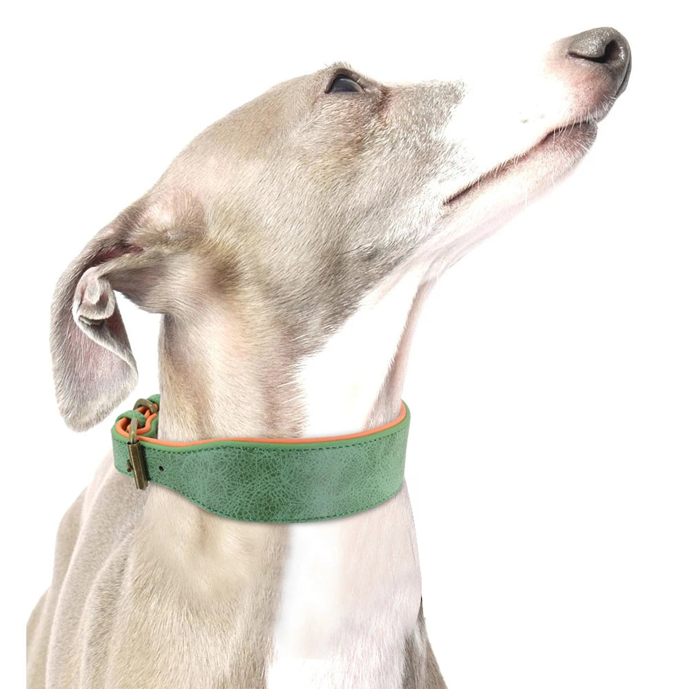 Wide Leather Dog Collar - Padded Collar for Medium to Large Dogs