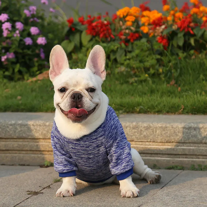 Winter Hoodies & Sweaters for Small to Medium Dogs - Warm Clothing for French Bulldog, Chihuahua, Yorkie - Happy Tail Center