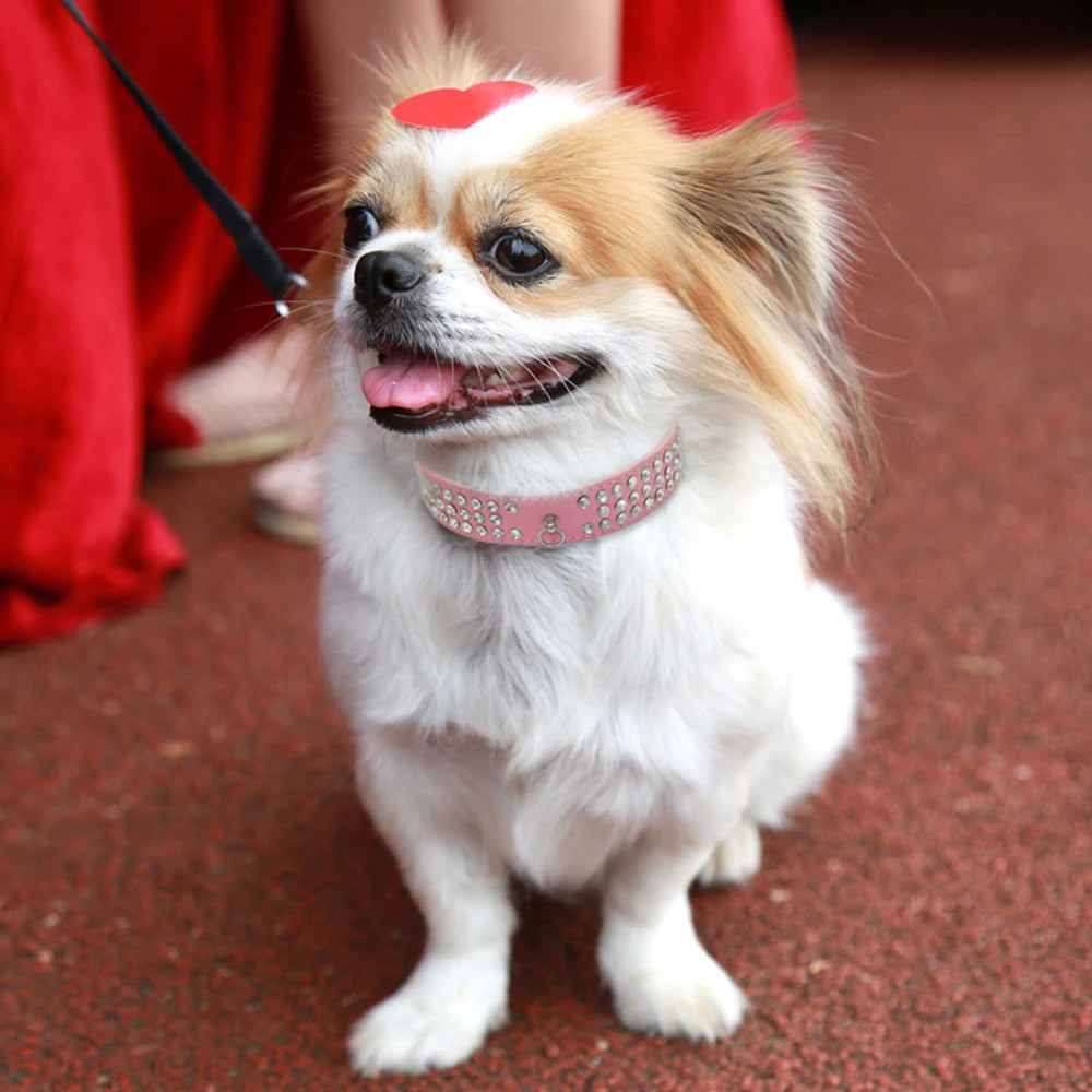 3-Row Rhinestone Dog Collar - Suede Leather for Small & Medium Dogs, Chihuahua, Yorkshire