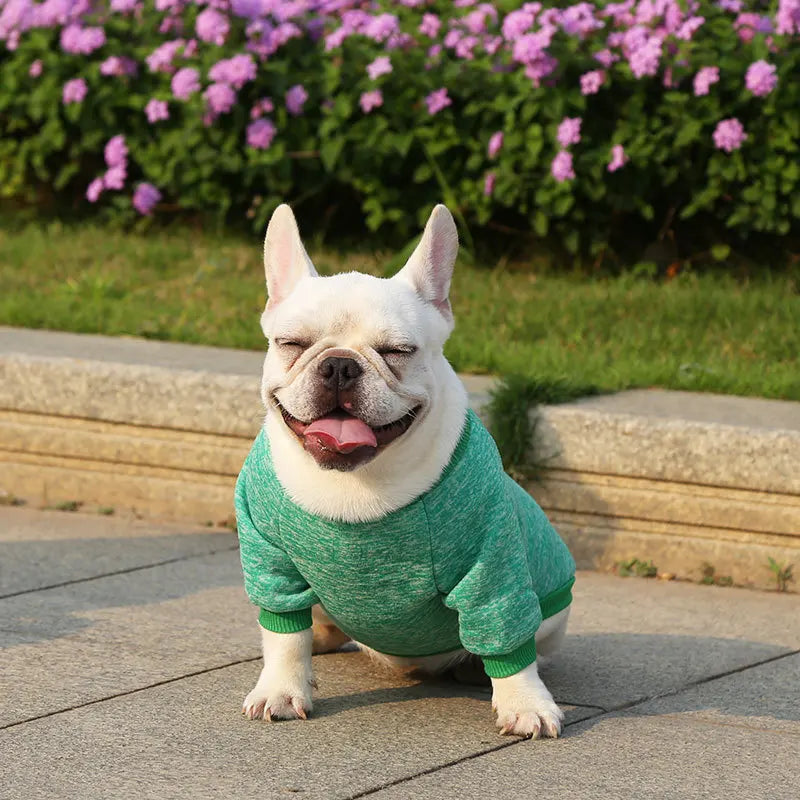 Winter Hoodies & Sweaters for Small to Medium Dogs - Warm Clothing for French Bulldog, Chihuahua, Yorkie - Happy Tail Center