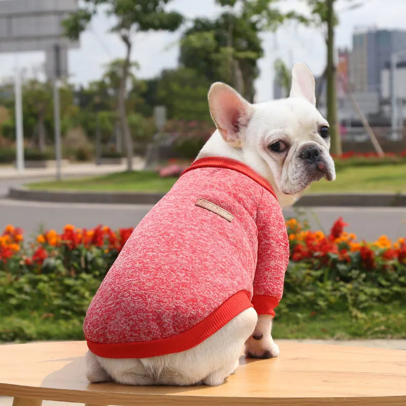 Winter Hoodies & Sweaters for Small to Medium Dogs - Warm Clothing for French Bulldog, Chihuahua, Yorkie - Happy Tail Center