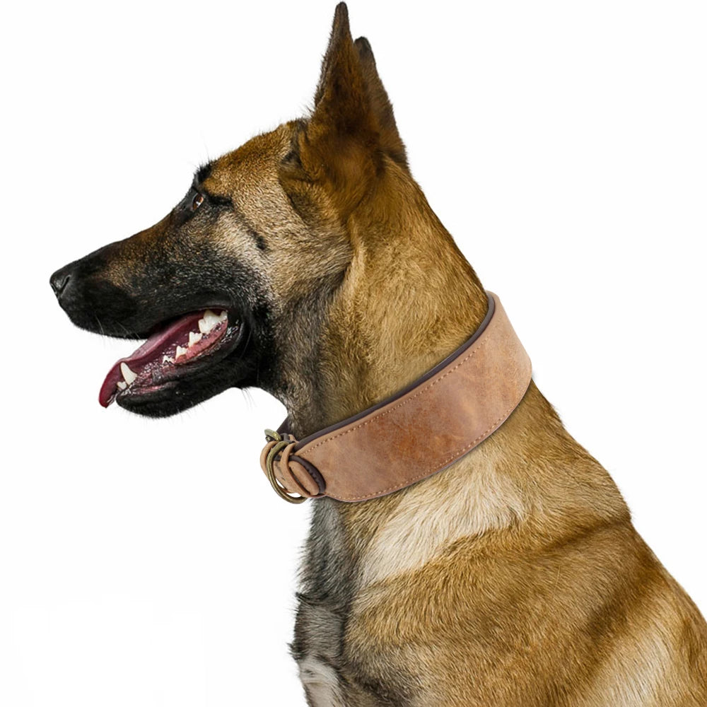 Wide Leather Dog Collar - Padded Collar for Medium to Large Dogs