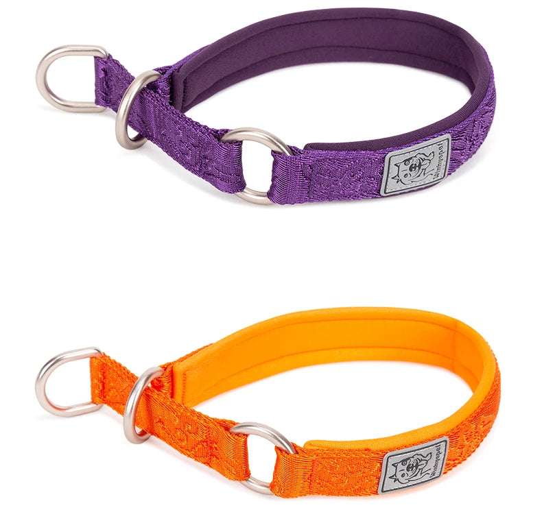 Nylon Webbing P-Chain Pet Collar – Ideal for Running and Training! - Happy Tail Center