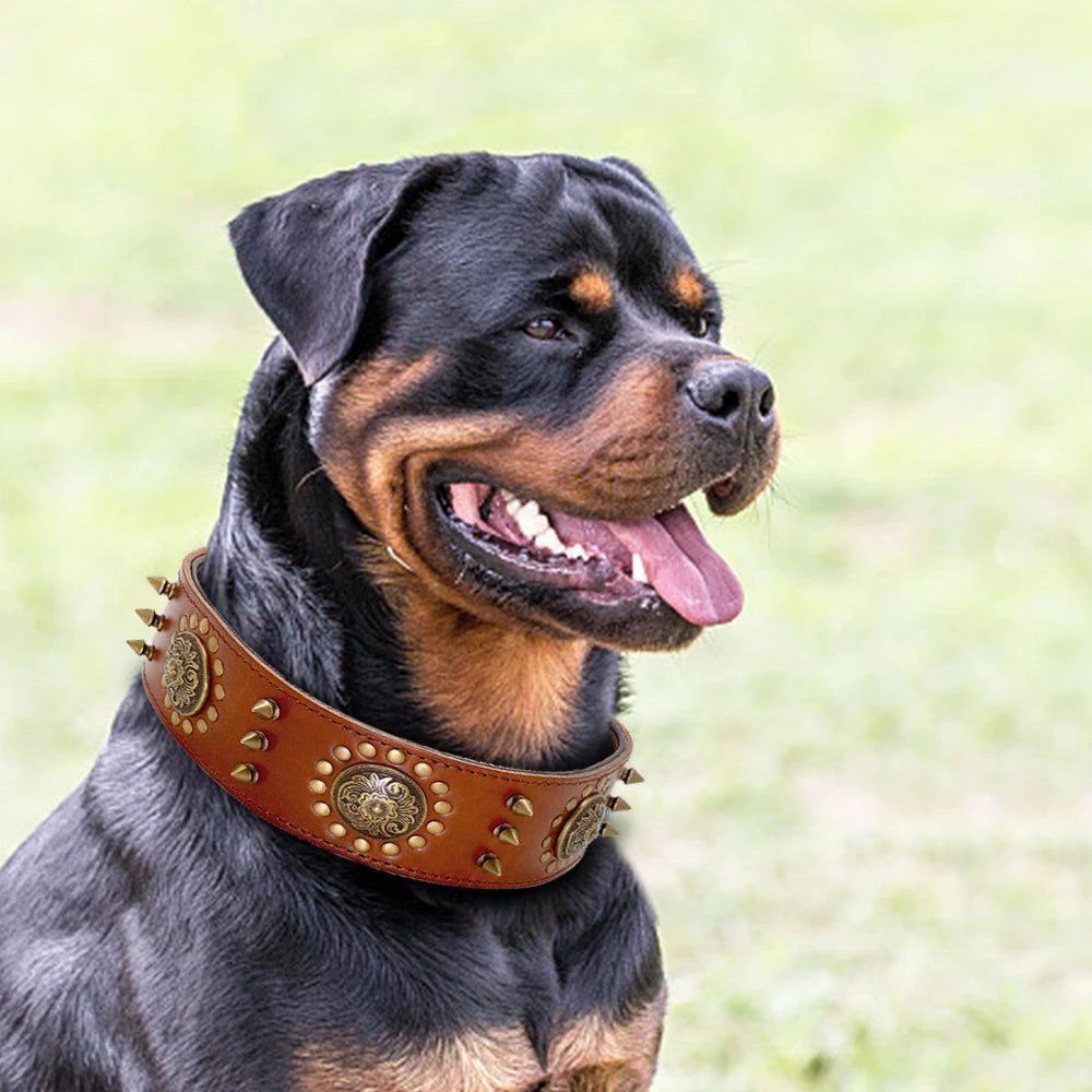 Durable Leather Dog Collar | Spiked & Studded Adjustable Collar for Medium to Large Dogs - Happy Tail Center