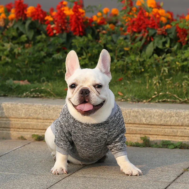 Winter Hoodies & Sweaters for Small to Medium Dogs - Warm Clothing for French Bulldog, Chihuahua, Yorkie - Happy Tail Center