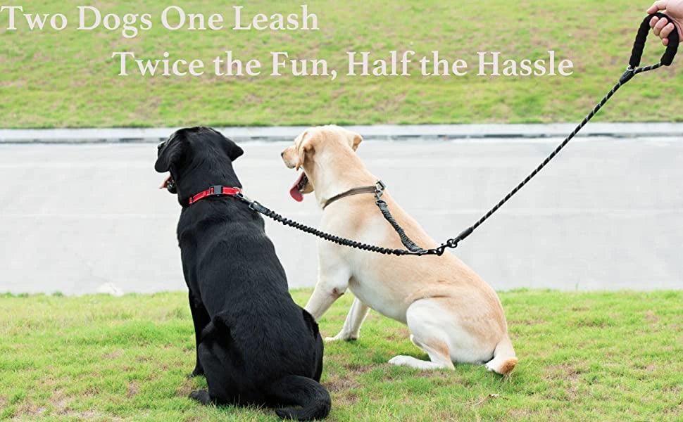 Dual Pet Dog Leash Elastic Rope for Walking Two Dogs - Happy Tail Center