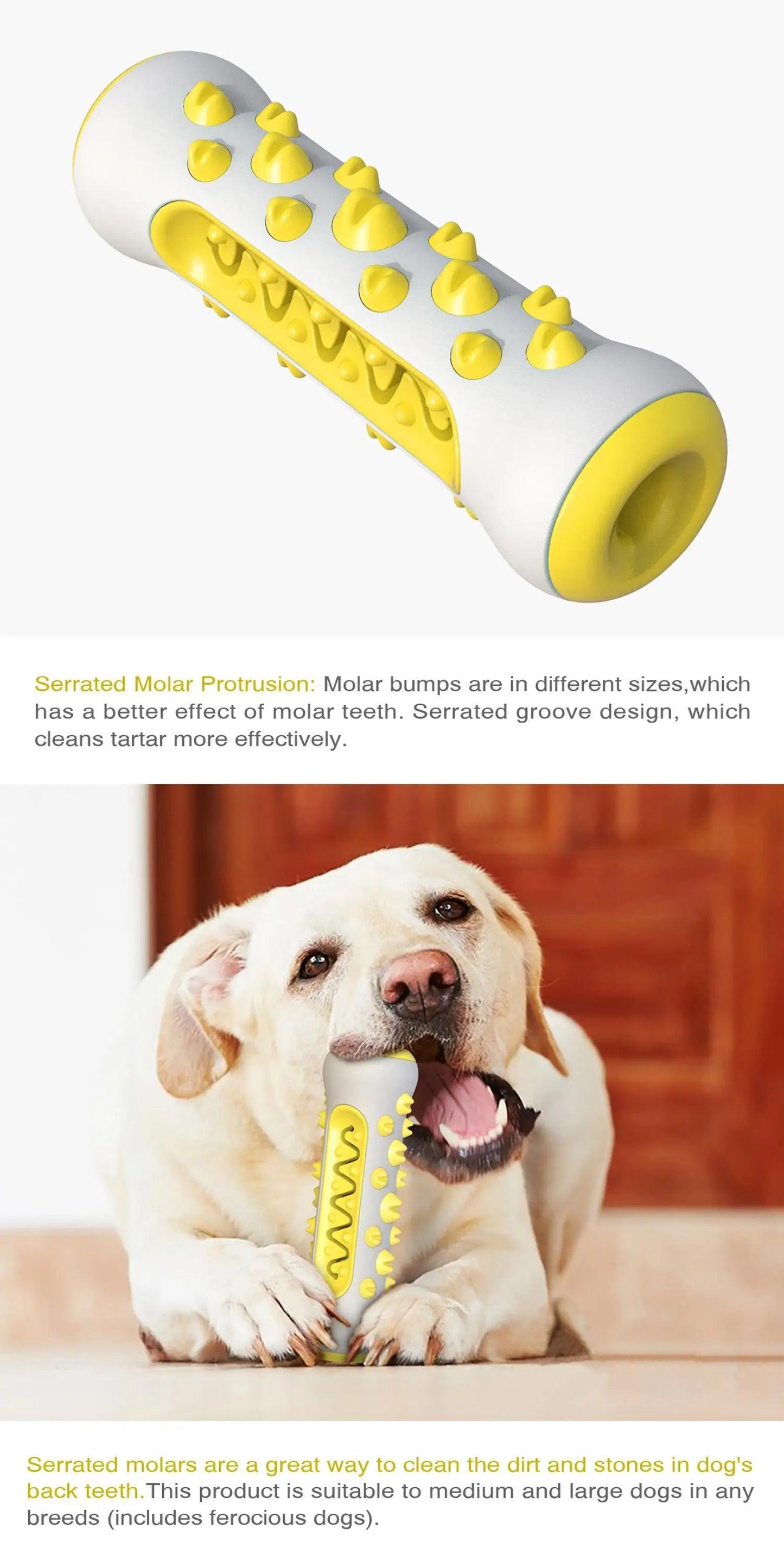 Dog Molar Toothbrush Toy | Keep Your Dog's Teeth Clean and Healthy - Happy Tail Center