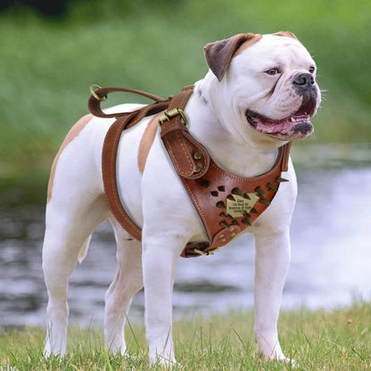 Durable Personalized Dog Harness Vest with Anti-Lost Tag & Handle - For Medium & Larg - Happy Tail Center (View 5)