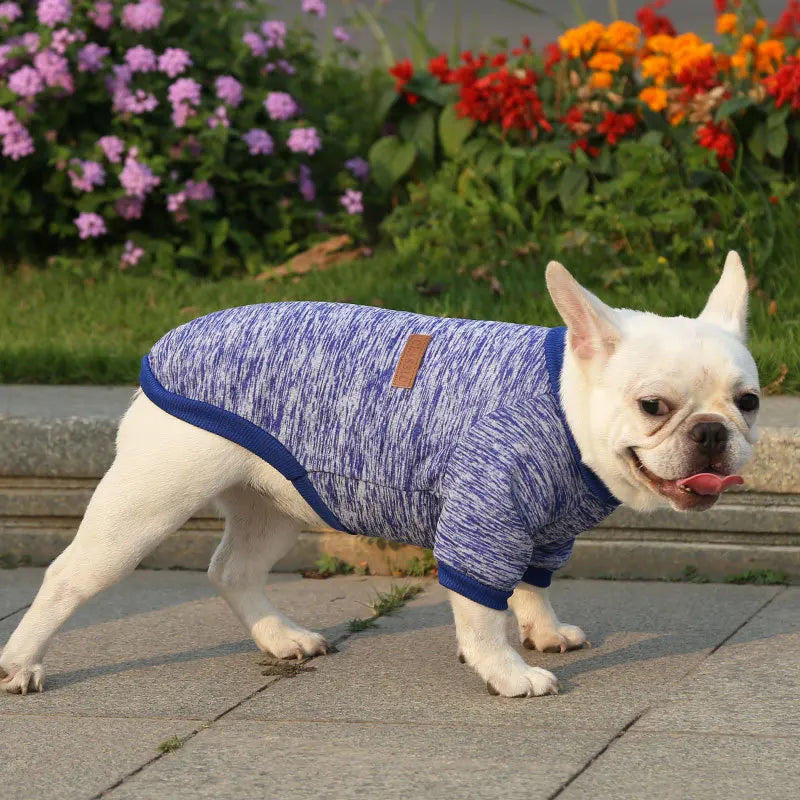 Winter Hoodies & Sweaters for Small to Medium Dogs - Warm Clothing for French Bulldog, Chihuahua, Yorkie - Happy Tail Center