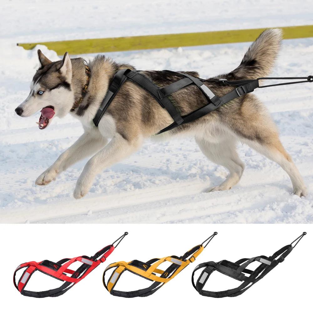 Waterproof Dog Sledding Harness: Train Your Dog with Confidence! - Happy Tail Center