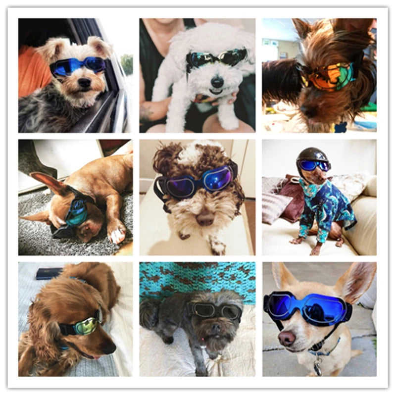 Adjustable Pet Dog Sunglasses | Stylish UV Protection for Dogs and Cats - Happy Tail Center