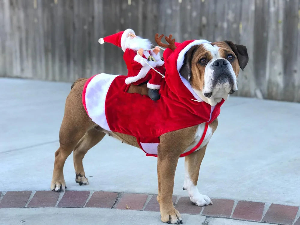 Designer Christmas Santa Claus Riding Clothes for Dogs – Winter Warm Pet Costumes for Small and Large Breeds - Happy Tail Center