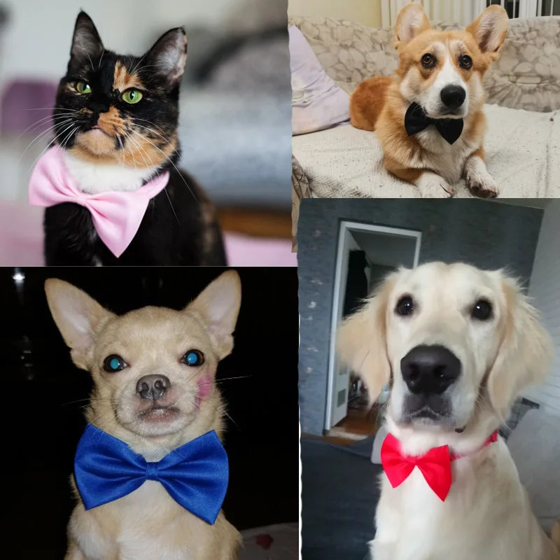 Stylish Adjustable Pet Necklace with Bow Tie for Dogs and Cats