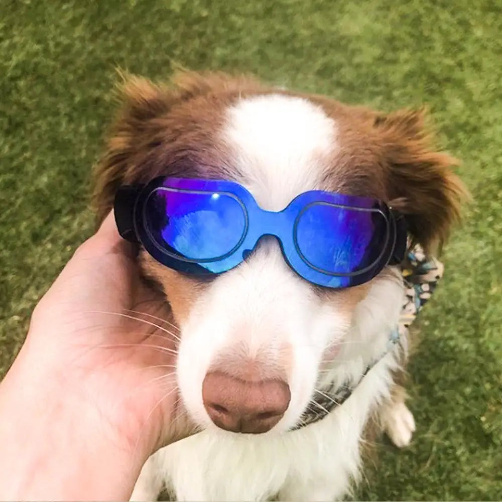 Adjustable Pet Dog Sunglasses | Stylish UV Protection for Dogs and Cats - Happy Tail Center