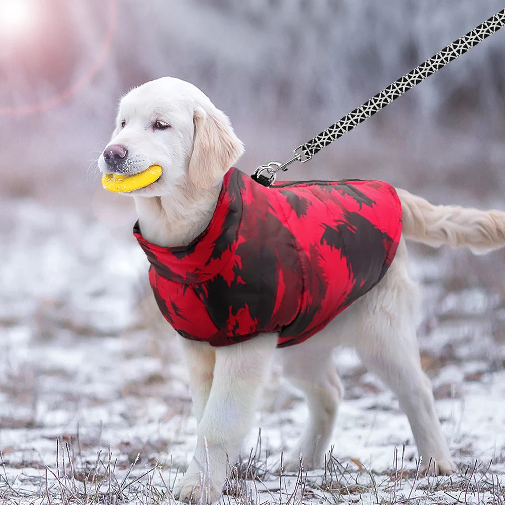 Warm Winter Jacket for Large Breeds: Cozy Outerwear for Cold Days! - Happy Tail Center