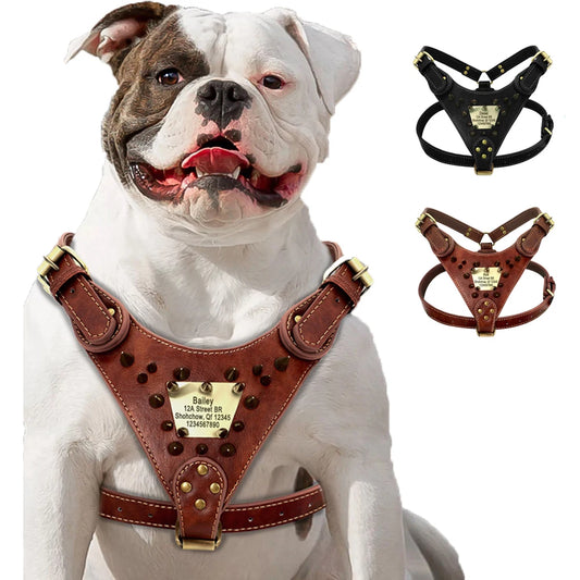 Durable Personalized Dog Harness Vest with Anti-Lost Tag & Handle - For Medium & Large Dogs