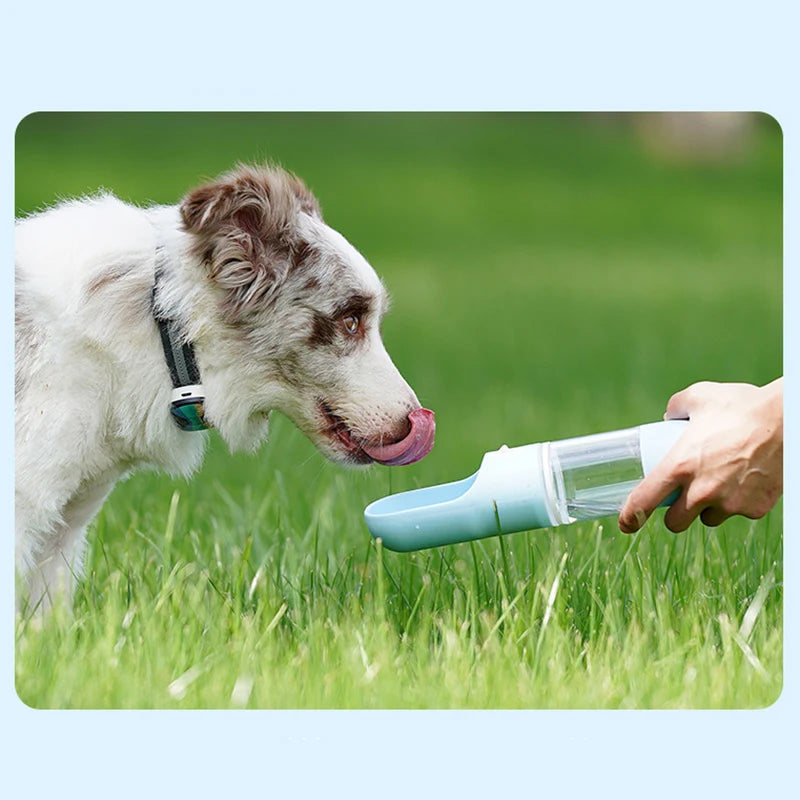 Portable Pet Water Bottle for On-the-Go Hydration & Feeding - Happy Tail Center