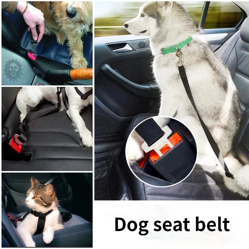 Dog Safety Belt for Car Seat – Adjustable Travel Leash Harness Buckle - Happy Tail Center